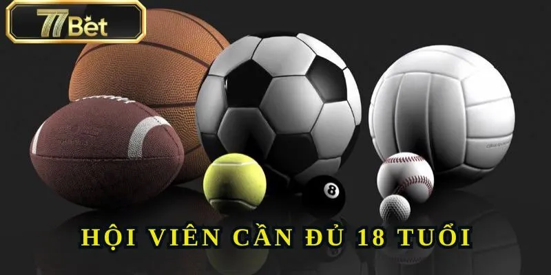 77BET - Trang Chủ Nhà Cái Đình Đám Nhất Toàn Bộ Châu Á 42 Các hội viên 77BET cần cam kết đủ 18 tuổi để trải nghiệm dịch vụ